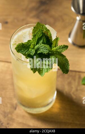 Erfrischender Mint GinGin Mule Cocktail mit Limette und Ingwer Bier Stockfoto