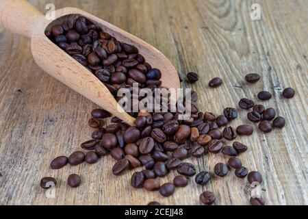 Geröstete Kaffeebohnen aus Holzlöffel verschüttet Stockfoto