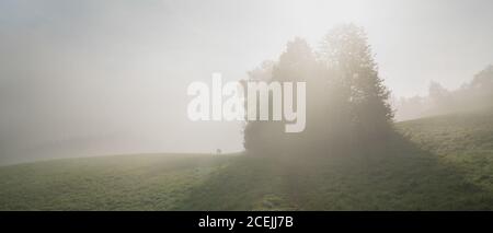 Anonyme Menschen, die auf einer nebligen Wiese spazieren Stockfoto