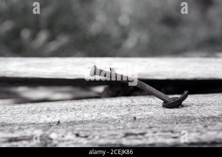 Ein einziger rostiger Nagel steckt in einer alten Holzdiele Stockfoto