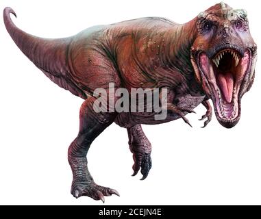 Tyrannosaurus aus der Kreidezeit 3D-Illustration Stockfoto