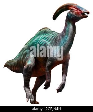 Parasaurolophus aus der Kreidezeit 3D-Illustration Stockfoto