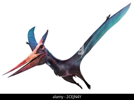 Pteranodon fliegende Dinosaurier 3D-Illustration Stockfoto