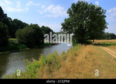 Eine Waldlandschaft entlang der Medway zur Teston Bridge Stockfoto