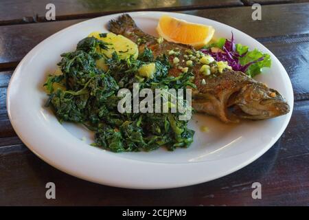 Balkan-Küche. Gegrillter Fisch (Forelle) mit grünem Blattgemüse. Dunkler rustikaler Hintergrund Stockfoto