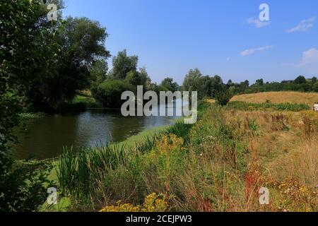 Eine farbenfrohe Waldlandschaft entlang der Medway in der Nähe von Maidstone Stockfoto