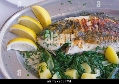 Balkan-Küche. Gegrillter Fisch (Seebrasse) mit grünem Blattgemüse und Zitronenscheiben Stockfoto