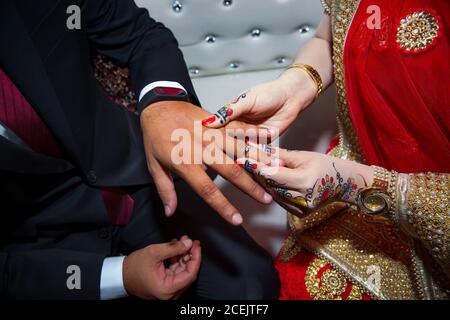 Eine Braut trägt einen Ring am Finger des Bräutigams. Indische Hochzeit. Stockfoto