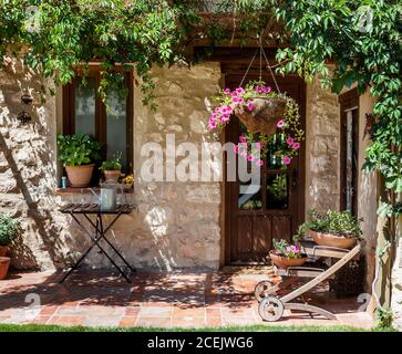 Schöne Terrasse des Hauses mit grünem Laub Stockfoto