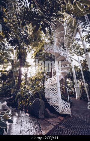Innenaufnahme eines Gewächshauses mit üppiger Vegetation und Wendeltreppe im Design mit Gehweg im Sonnenlicht, Dänemark Stockfoto