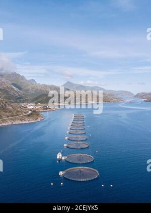 Drohnenansicht einer Reihe von Fischfarmen in blauem, ruhigem Wasser des Ozeans mit Küstenlinie der Lofoten Island im Sonnenlicht, Norwegen Stockfoto