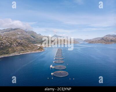 Fischfarmen im blauen Wasser der Lofoten-Inseln Stockfoto