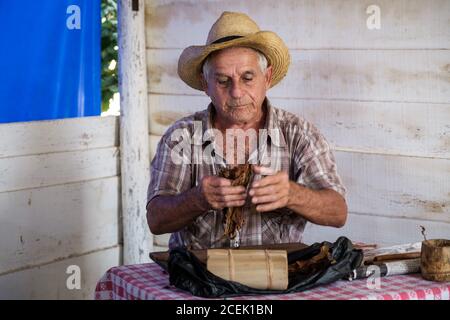 Alter Bauer, der auf seiner Tabakplantage handgemachte kubanische Zigarren zubereitete Im Viñales-Tal in Kuba Stockfoto