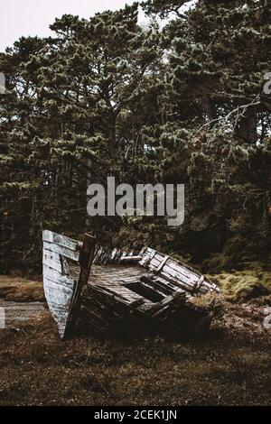 Altes Holzboot auf Gras Stockfoto