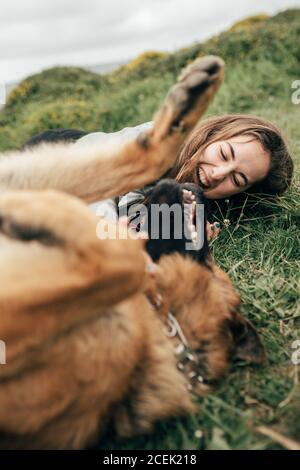 Junge Frau streicheln Hund in der Natur Stockfoto