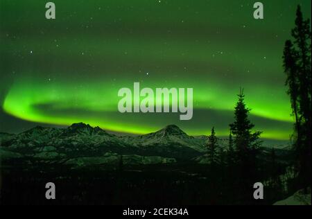 Alaska; Alaska Range; Berge; aurora; Aurora Borealis; Nordlichter; himmlisch; Naturphänomene; Nacht; Mond; Nordamerika; Himmel; Winter. Mt. Stockfoto