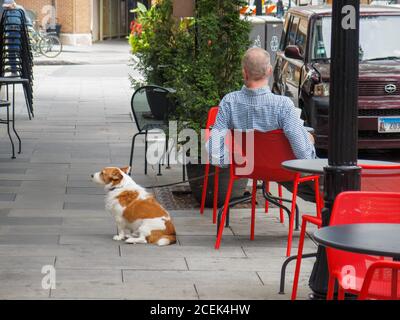 Mann mit Hund im Straßencafé, Oak Park, Illinois. Stockfoto