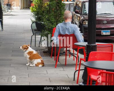 Mann mit Hund im Straßencafé, Oak Park, Illinois. Stockfoto