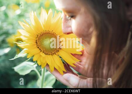 Nahaufnahme der kaukasischen jungen Frau riecht frische Sonnenblume in Bauernhof Stockfoto