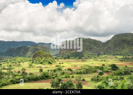 Das Vinales-Tal in Kuba, berühmt für seine natürliche Schönheit und die Qualität des in der Gegend angebauten Tabaks Stockfoto