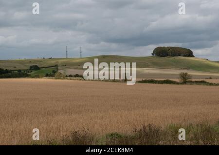 Ort der Schlacht von Roundway Hill, Devizes, Wiltshire, Großbritannien. Eine der Schlachten des ersten englischen Bürgerkrieges 1643 Stockfoto