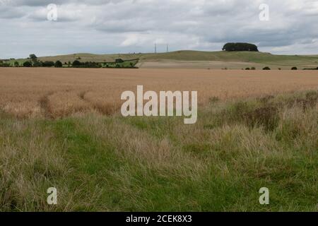 Ort der Schlacht von Roundway Hill, Devizes, Wiltshire, Großbritannien. Eine der Schlachten des ersten englischen Bürgerkrieges 1643 Stockfoto