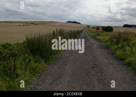 Ort der Schlacht von Roundway Hill, Devizes, Wiltshire, Großbritannien. Eine der Schlachten des ersten englischen Bürgerkrieges 1643 Stockfoto