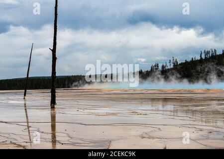 Schlammformationen rund um die Grand Prismatic Spring, Yellowstone Park Stockfoto