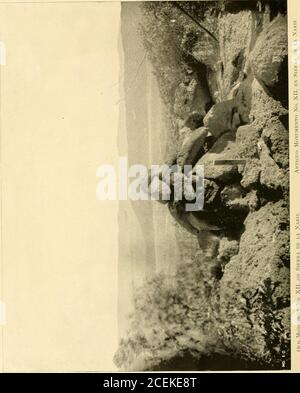 . Bericht der Boundary commission über die Erhebung und Neumarkierung der Grenze zwischen den Vereinigten Staaten und Mexiko westlich des Rio Grande, 1891-1896 ... Stockfoto