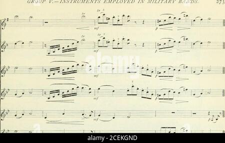 . Moderne Orchestrierung und Instrumentierung : oder, die Kunst der Instrumentierung ; mit detaillierten Beschreibungen des Charakters und Besonderheiten aller Instrumente und ihre praktische Anwendung. Stockfoto