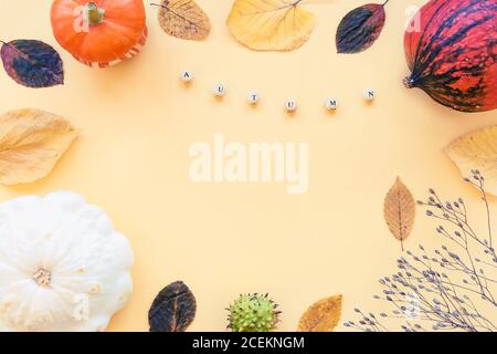 Herbstliche Komposition mit getrockneten Blüten, Blättern, Kürbis. Worte Herbst. Draufsicht, flach liegend, Kopierbereich Stockfoto
