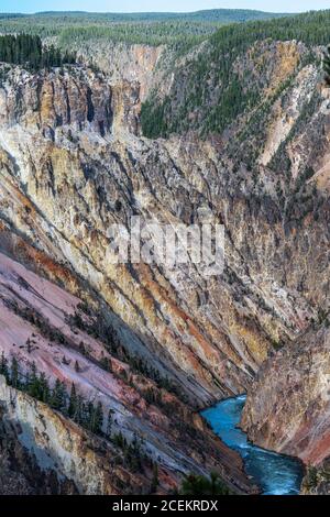 Der Grand Canyon im Yellowstone Park Stockfoto