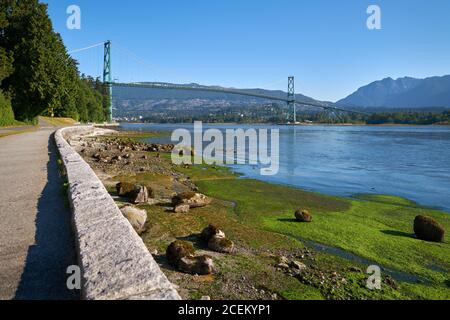 Stanley Park Seawall Lion’s Gate Bridge. Die Ufermauer des Stanley Parks mit Blick auf die Lions Gate Bridge. Vancouver, British Columbia, Kanada. Stockfoto