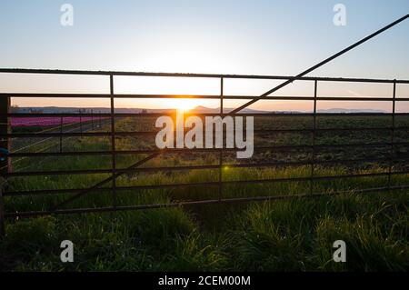 Eisentor bei Sonnenuntergang mit dem Licht der Sonne scheint durch und Hervorhebung des Grases im Vordergrund, Blumen an der Seite und Berge. Stockfoto