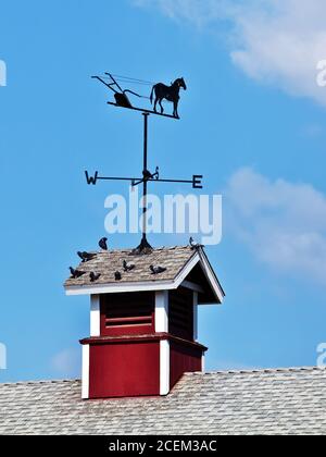 Wetterfahne auf der Kuppel einer Scheune Stockfoto