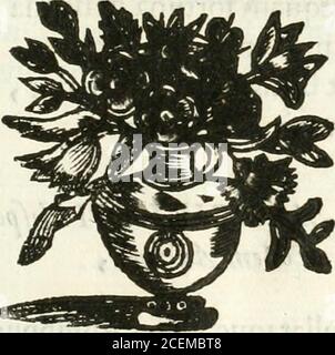 . Beerdigung hecho en Roma en la yglesia de Santiago delos españoles à 18 de diciembre de 1665 : A la gloriosa memoria del rei catolico delas Españas nuesro señor D. Felipe Quarto el grande en nombre de la nacion española. Quam potuit 5ccptrum celTiííe fedendo, Regnantemque ducem niobilis vmbra fequi , RCX RCT Ego&gt; duxque mei: Regem áíxlfíe lieèbit, Qairegit) vt regnetj daxque,comcique fui e0;Infra habui Magnosjadcò hf e lausvnica Magni cft^ Regia Fi magnos non capit vna Duo^.Vfquc tamen magnos ( hsec noftr^ gloria Gentis ) VT mage tot reges effe nec ipiè negcm.SED mihi quantumuis magnos Stockfoto