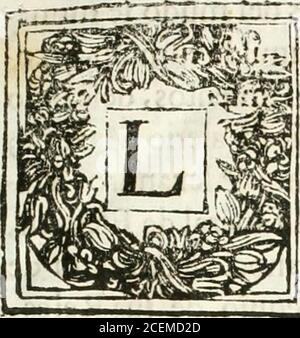 . Funeral hecho en Roma en la yglesia de Santiago delos españoles à 18 de diciembre de 1665 : a la gloriosa memoria del rei catolico delas Españas nuesro señor D. Felipe Quarto el grande en nombre de la nacion española. De negligente; porque la gran-deza de V.Ex. à dado vn iujeto tan fublime, quela humildad demi ingenio no à podido llegaraconprehendérlo en breuesdiasj ademas de queintenté imitar a la naturaleza, la qual Mas tiem-po emplea en producir losviuiétes de larga vida,que en los de corta ; pero el ílicefo como no cor-.reípondietealdeíeo,y el reconocer que aeíloseícritos nacidos en la m Stockfoto