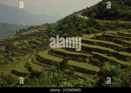 Landwirtschaftliche Terrassen und Landstraße in Sidhane Dorf auf Panchase Bergregion, Gandaki Pradesh, Nepal. Stockfoto