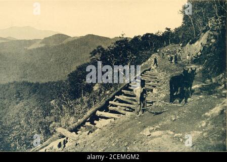 . In Cloudland, Mayview Park, Blowing Rock, North Carolina. En auf dieser Straße errichtet sind entlang der Klippen verstreut und sind in der abgelegensten Abschnitt von May-View Park und doch sind bequem in Reichweite des Dorfes Blowing Rock. Wonderland Trail beginnt an der Hauptstraße von Blowing Rock am Eingang zum Mayview Park und weiter vorbei am Lake Mayview, einem künstlichen See von drei Hektar, klettert er in umlaufenden breiten Kurven und langen Strecken, entlang der Spitze zum Mayview Rock. Alle Wanderwege innerhalb des Grundstücks führen zu diesem Punkt, wo man die herrliche Aussicht auf das BlueRid erhält Stockfoto