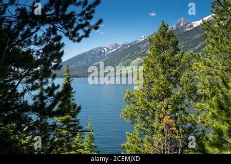 Jenny Lake im Grand Teton National Park. Das Motorboot weit im Hintergrund fährt über das Wasser Stockfoto