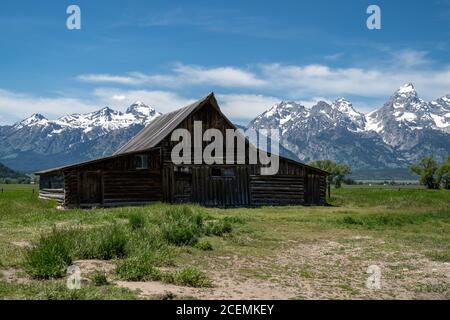 Die TA Molton Barn in Mormon Row, Grand Teton National Park Stockfoto