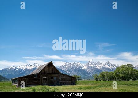 Die TA Molton Barn in Mormon Row, Grand Teton National Park Stockfoto