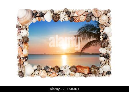 Muscheln Fotorahmen weißen Hintergrund isoliert Nahaufnahme, Muscheln Bildergrenze, Sonnenuntergang Strand, Sommerurlaub, tropische Insel Urlaub, Palmen Stockfoto