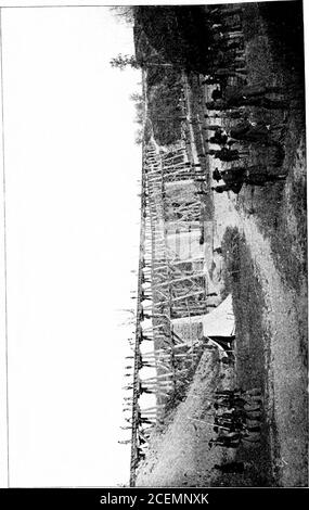 . Geschichte der Michigan-Organisationen in Chickamauga, Chattanooga und Missionary Ridge, 1863 [elektronische Ressource]. E von siebzig Meilen. Die nächste, eine sehr raue Waggonstraße von Winchester, durch Salem, nach Larkins-ville, und eine außerordentlich raue Straße durch den Weg von Mount Top, eine Abzweigung, die von dort nach Bellefonte und die andere nach Stevenson. Auf diesen letzteren Routen war wenig oder kein Futter zu finden, außer an den Enden der Linien, und sie waren auch knapp von Wasser. Das von Athen hat Futter und Wasser im Überfluss. Es ist offensichtlich aus dieser Beschreibung der Topographie, die CH zu erreichen Stockfoto