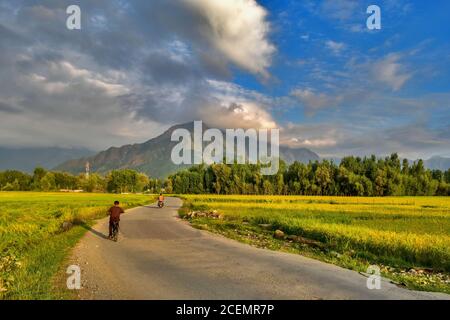 Kaschmir, Indien. September 2020. Bewohner fahren entlang einer Straße während eines sonnigen Tages am Stadtrand von Srinagar. Kredit: SOPA Images Limited/Alamy Live Nachrichten Stockfoto