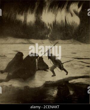 . Broschüre. HERBST die Qortb-Tafel der East Wall 10 AMERICAN MUSEUM FLUGBLÄTTER. Copyright 1908 Frank Wilbert Stokes. WALROSSJAGD IM LICHT DER AURORA BOREALIS. Die zentrale Tafel der Ostwand. Und reisen in Richtung des Klangs, oft nur mit dem Licht des Mondes oder der Sterne, um ihm den Weg zu zeigen. Wenn er innerhalb von tausend Yards zum Wind der Tiere hin seine Hunde an das Eis legt, und wenn sie an die Jagd ungewohnt sind und nicht geräuschlos bleiben, kann er den Schlitten auf den Kopf stellen, um jeden Versuch von ihrer Seite zu überprüfen, wegzulaufen. GEMÄLDE VON GRÖNLAND ESKIMO 11 Stockfoto