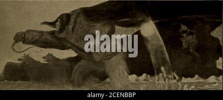 . Merkblatt. Oon. Es wird eine riesige Fata Morgana von zwei Figuren in voller Verfolgung durch die Luft präsentiert. Diese Figuren sind Ahn-ing-ah-neh, ein Jäger, typifyingthe Mond und läutet in den langen Winter, und Sukh-eh-nukh, standingfor the Sun, eine Göttin begleitet von Sommer und viel. Ahn-ing-ah-neh ist in Wintergewand gekleidet und fährt sein Hundeteam. Der höhere Teil der Figur, wie die Hunde und der Schlitten, sind schattig in der Malerei, aber der obere Teil, der in der Jagd nach vorne reicht, der Kopf und der rechte Arm mit seiner Peitsche, stehen stark und dunkel als der vorwärtsgehende Teil einer Nachtwolke t Stockfoto