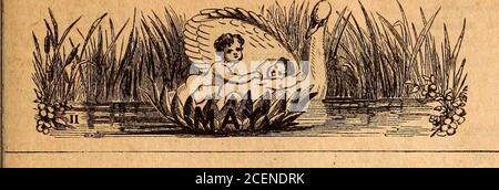 . Familie der Brüder Almanac, Die (1892). n. HE 22 Sonntag 23 Mondy 24 Do. 25 Mi. 26 Do. 27 Freitag 28 Sa. 10 Helena 11 Desiderius 12 Albert 13 UrbanusA Ascension15 Lucina!♦• William 10 9 23 2 U «*13 11 10 15 2 48 **26 11 11 11 3 10 flff 12 11 57 3 58 ,*#21 1 12 11 J Sätze m 3 2 1 13 8 37 «15 3 2 16 9 20 »28, d K J, &lt;? souths 4 37Orion Sets 7 30J in Perigee, d USD D? Gr. Hel. Lat. S. ^p)K26.b8tat DN.JT!LP,Altairrises8 54P llux Sets 117 ^ 4 47 34 34343!4 4646454443437 13141415 1717 22] 6. Sonntag nach Ostern John 15. Tage Länge 14 Stunden 34 Min. 29 Sonntag 30 Mondy 31 Dienstag S billa Perücke Stockfoto