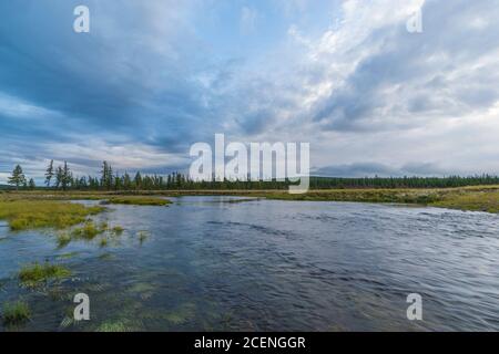 Natur des Nordens Stockfoto