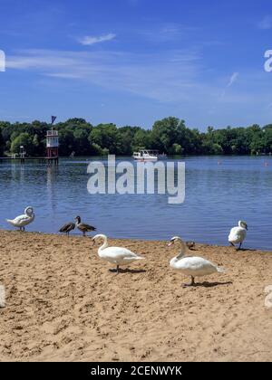 Badestrand am Maschsee, Hannover, Niedersachsen, Deutschland, Europa Maschsee-Strand, Hannover, Niedersachsen, Deutschland, Europa Stockfoto